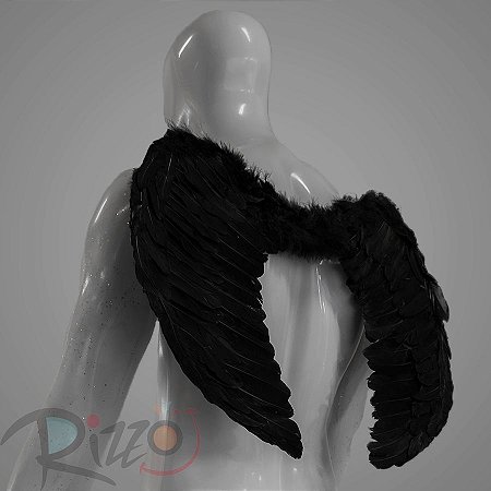 Adereço de Carnaval - Asa de Anjo - Preto - Mod:306 - 01 unidade - Rizzo
