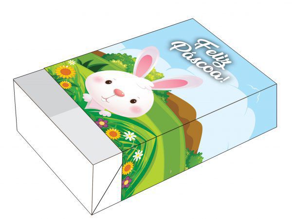 Caixa Divertida Páscoa Coelho Mato Ref. 875 - 6 doces com 10 un. Erika Melkot Rizzo Confeitaria