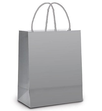 Sacola de Papel M 26x19,5x9,5cm - Prata Fosco - Embalagem Econômica - 10 unidades - Cromus - Rizzo