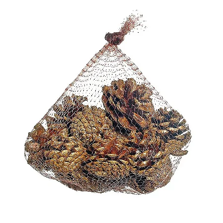 Saquinho com Pinhas Natural G 20cm - 01 unidade - Cromus Natal - Rizzo