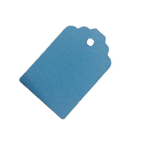 Tag Azul com Furo 10un - Rizzo