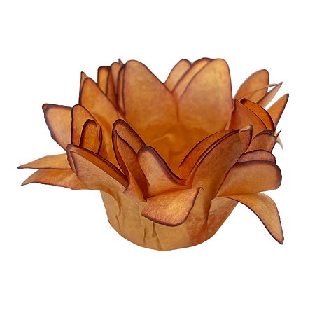 Forminha para Doces Finos - Madri Mostarda - 50 unidades - Decora Doces - Rizzo