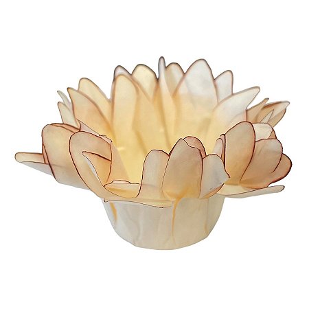 Forminha para Doces Finos - Madri Creme Queimado - 50 unidades - Decora Doces - Rizzo