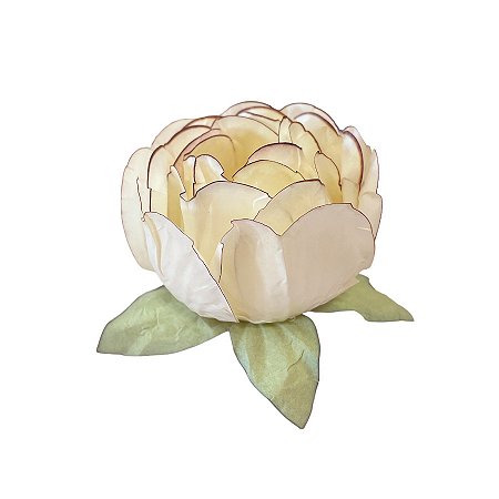 Forminha para Doces Finos - Bela Marfim Queimado - 30 unidades - Decora Doces - Rizzo