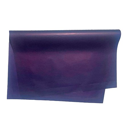 Papel de Seda - 50x70cm - Azul Marinho  - 10 unidades - Rizzo