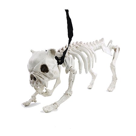 Enfeite Decorativo Halloween - Esqueleto de Cachorro - 19cm - 1 unidade - Cromus - Rizzo