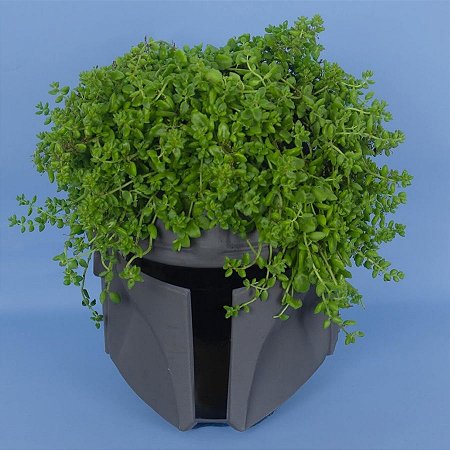 Cachepot de Plástico Para Planta - Mandalorian - Star Wars - 29cm - 1 unidade - Disney Original - Rizzo