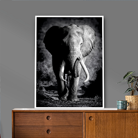 Quadro Decorativo Elefante Preto e Branco da Série Animais