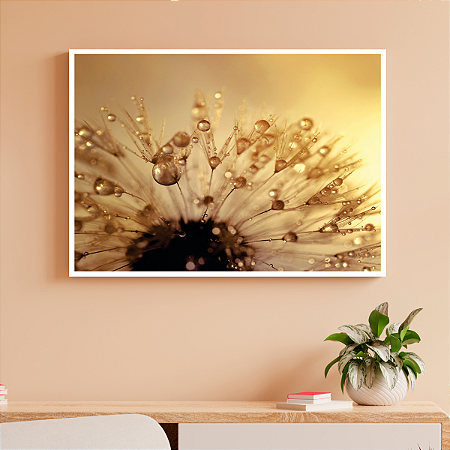 Quadro Decorativo Uma Flor com Gotas de Orvalho