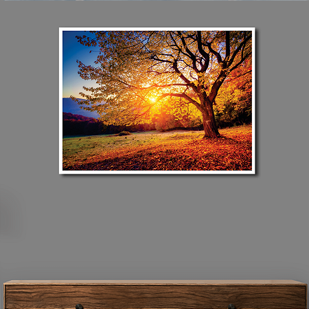 Quadro Decorativo Grande Árvore com Sol ao Fundo