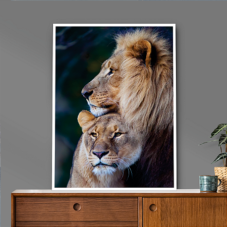 Quadro Decorativo Casal de Leões