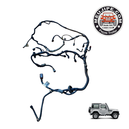 CHICOTE INJECAO TROLLER 3.2 TGV 2013 A 2014