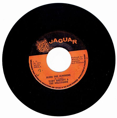 TONY BREVETT - BLESS THE SUNSHINE