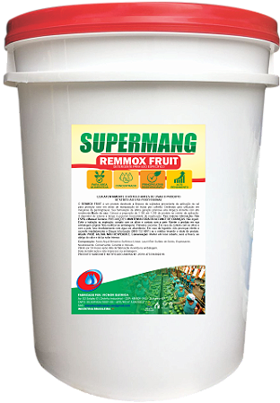 REMMOX FRUIT 20 LITROS - DETERGENTE PARA USO ESPECÍFICO