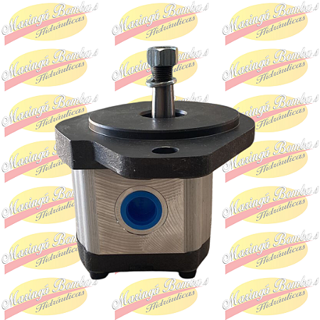BOMBA HIDRÁULICA F000510535