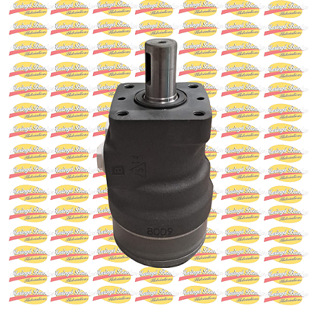 MOTOR HIDRÁULICO W92868362