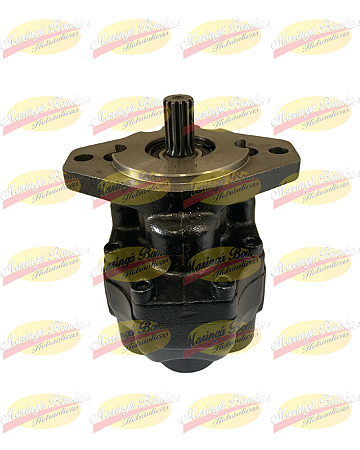 BOMBA DE ENGRENAGEM B538042T MEDAL