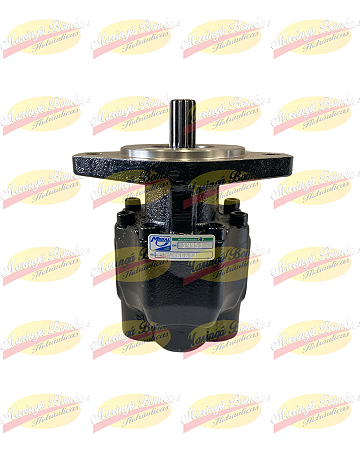 BOMBA DE ENGRENAGEM B538083T MEDAL