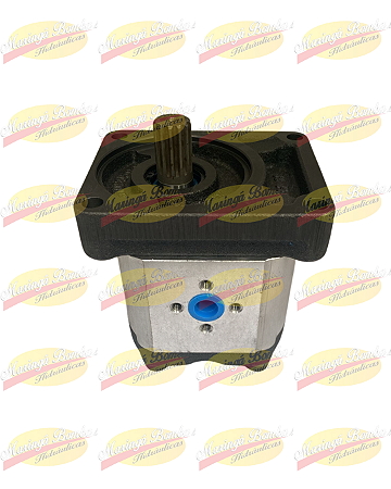 BOMBA BOSCH 9510080648