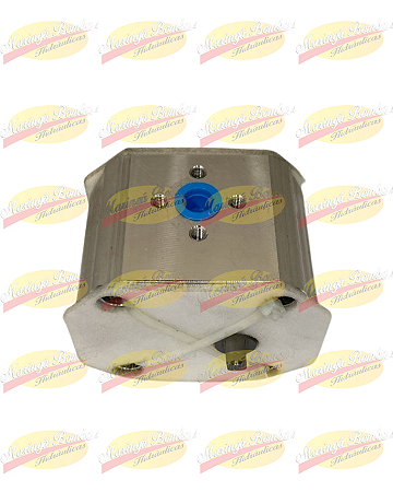 BOMBA HIDRÁULICA BOSCH F000513513