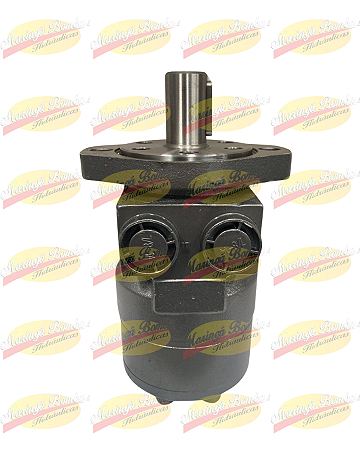 MOTOR HIDRÁULICO IMR200A2HS