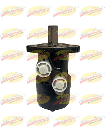 MOTOR HIDRÁULICO 600054813