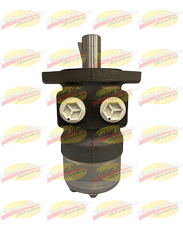 MOTOR HIDRÁULICO 11186079