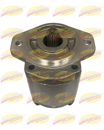 BOMBA DE ENGRENAGENS 12101016140
