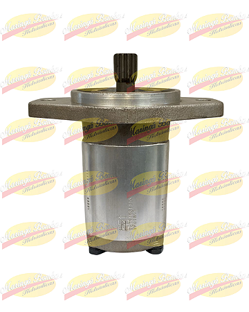 BOMBA EMPILHADEIRA C300 12101031116