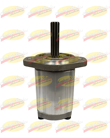 BOMBA DE ENGRENAGENS 12111033066