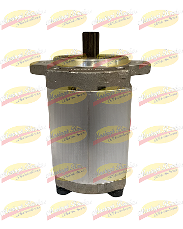 BOMBA EMPILHADEIRA 12101033070