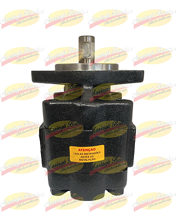 BOMBA HIDRÁULICA MARRUCCI 1459900