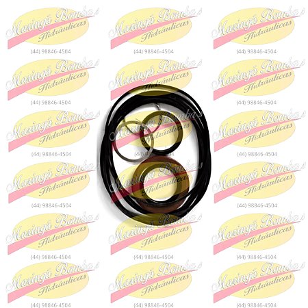 REPARO MOTOR PARKER MOD TG TF - SK000092IMP