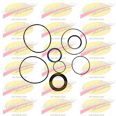 KIT VEDAÇÃO OMTS1/S2/S2 - 600012614