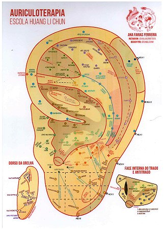 Mapa - Auriculoterapia - Profº. Ana Farias