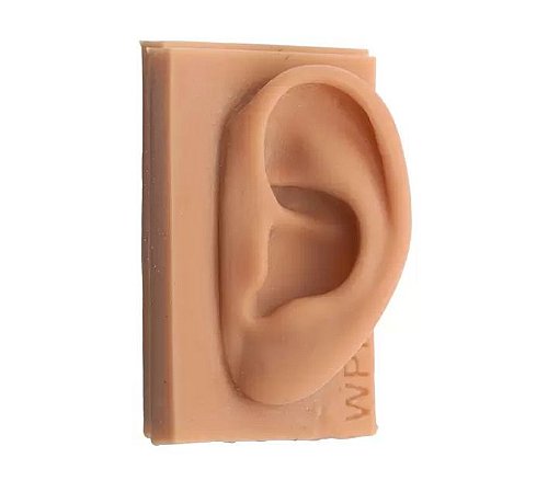 Modelo Orelha Silicone - Prof. Wagner (Cor Branca)