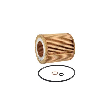 Filtro de Óleo BMW M1 M3 X1 X3 X4 X6 Serie 1 3 4 5 6  Wega WOE221