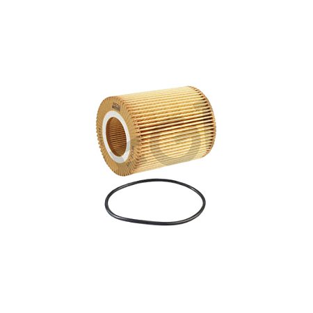 Filtro de Óleo Ranger Discovery Range Rover Jaguar XF Wega WOE245