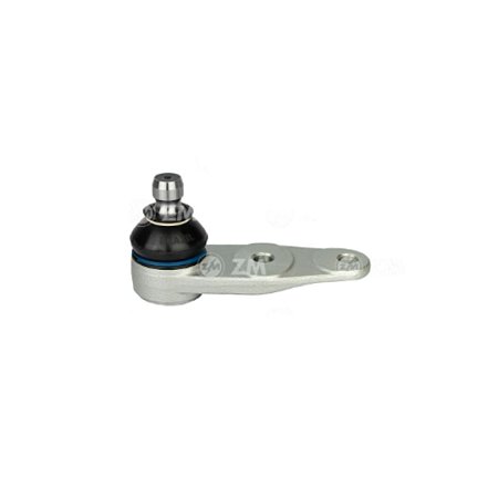 Pivô Suspensão Renault Clio Scenic Megane Kangoo ZM47012050