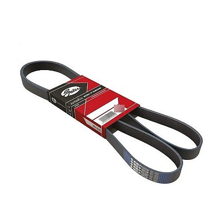 Correia Poly V Renault Megane Scenic Laguna Citroen Xantia 2.0 Gates 6PK1655
