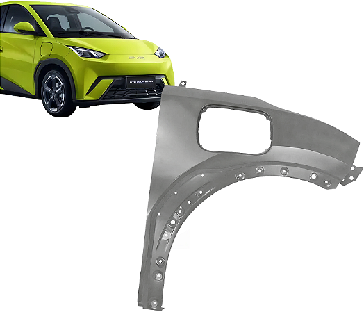Paralama Lado Direito Byd Dolphin Mini 2024 2025
