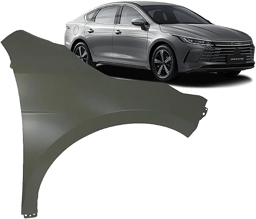 Paralama Lado Direito Byd King 2025 2026