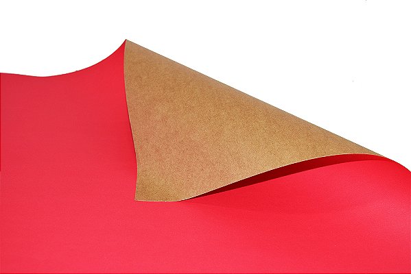 Papel Cartão 47x65 Fosco