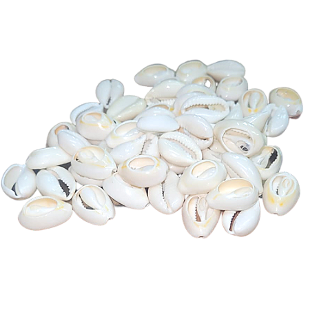 Búzios Branco Aberto - Pacote Com 100g - Natural