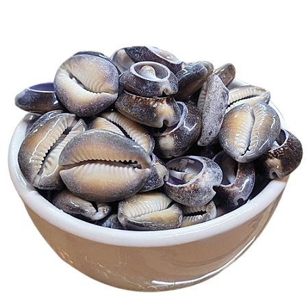 Búzios Africano Aberto - Pacote Com 100g - Natural
