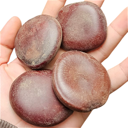Fava De Alibe / Xango - Africana Semente Candomblé Umbanda