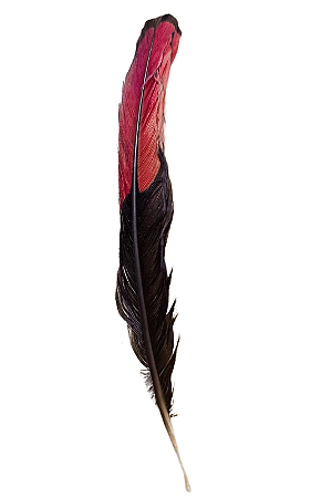 Pena De Aloko - Africana P/ Fundamento Candomblé - Legítima