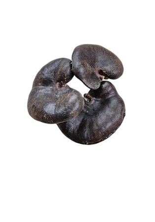 Fava De Oba - Umbanda E Candomblé