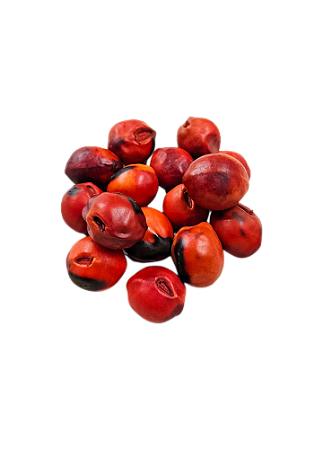 Fava De Exu - Umbanda E Candomblé