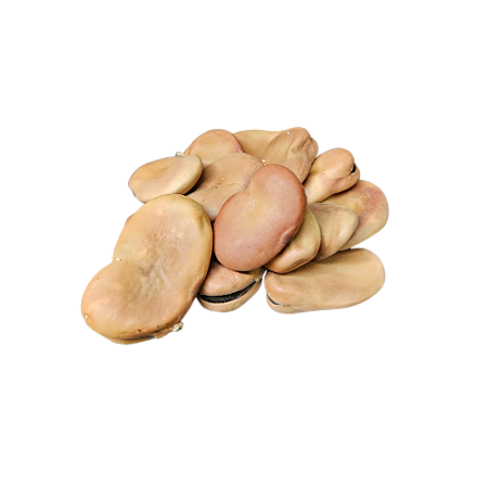 Fava De Iansã - Umbanda E Condomblé